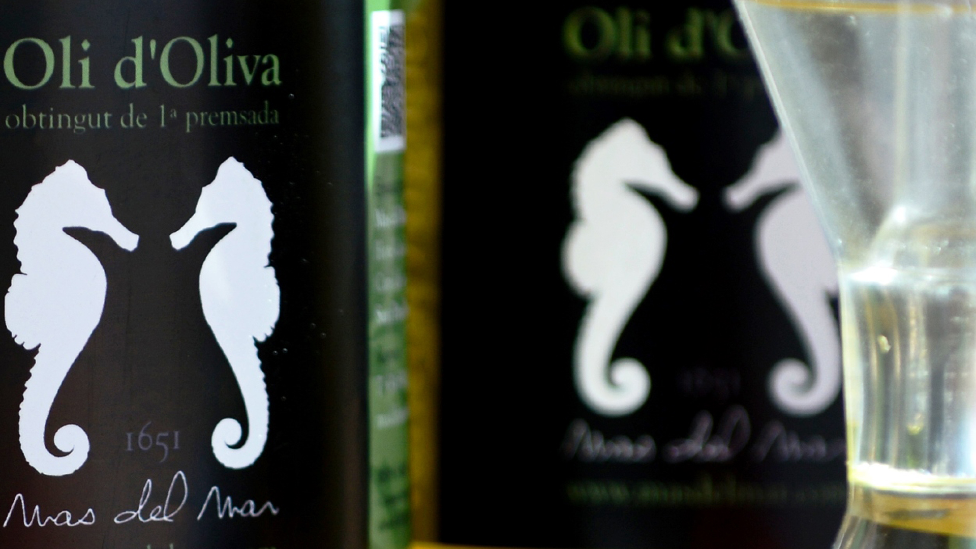 OLIO_01