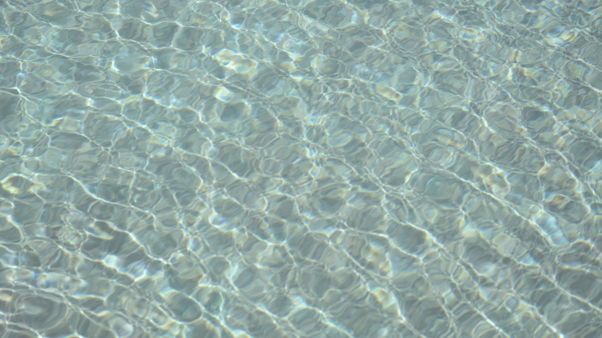 PISC_09